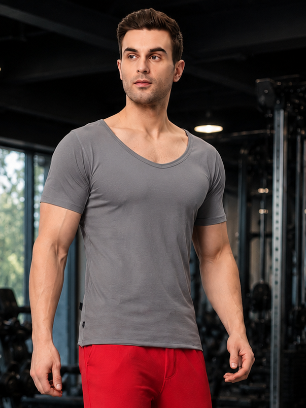 RICKY REGULAR FIT T-SHIRT GREY