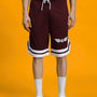 WD WINGS REGULAR FIT SHORTS (MAROON)