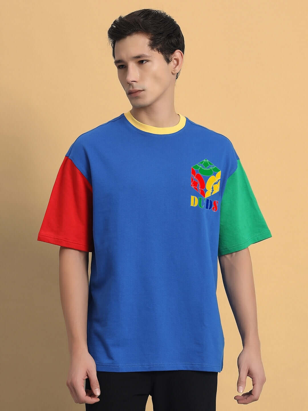 Model wearing the FINLEY color-blocked oversized t-shirt in multi colors, featuring premium cotton fabric, against a neutral backdrop.